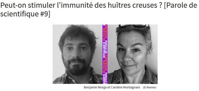 Interview de C. Montagnani sur l’immunité de l’huître creuse (26/11/2021)