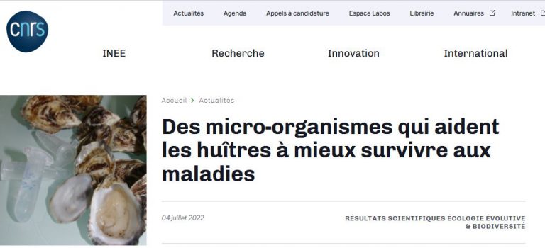 Communication sur les recherches IHPE dans CNRS Hebdo (04/07/2022)