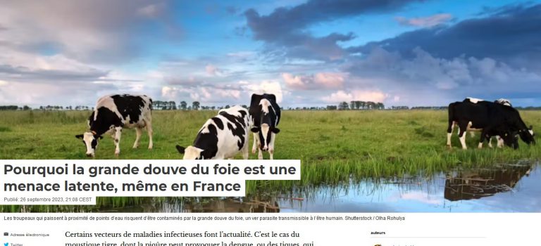 The Conversation ! (26/09/2023) Pourquoi la grande douve du foie est une menace latente, même en France